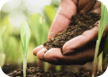 Environmental Responsibility Image