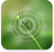 Environmental Responsibility Image