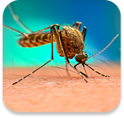 Environmental Responsibility Image