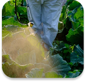 Environmental Responsibility Image